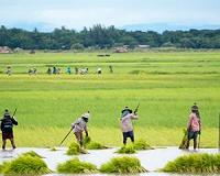 Trade may not help a warming planet fight its farming failures
