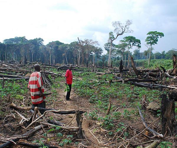 More than 90% of the world's protected areas are disconnected