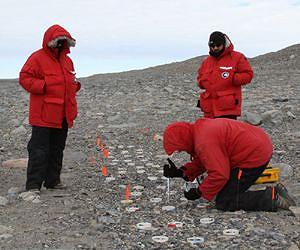 Biologists unlock black box to underground world