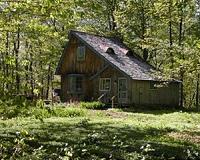 Buildings can become a global CO2 sink if made out of wood instead of cement and steel