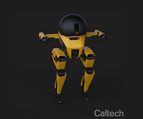 LEONARDO, the Bipedal Robot, Can Ride a Skateboard and Walk a Slackline