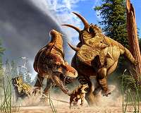 The long legs of tyrannosaur made for marathon walking