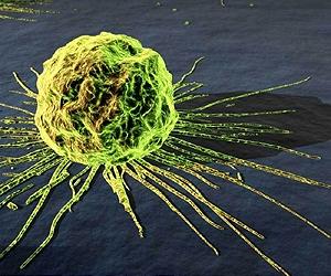 Are cancers newly evolved species