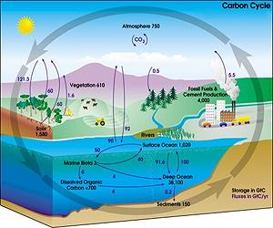 Time For Climate Change