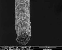Realizing carbon nanotube integrated circuits