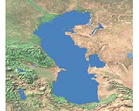 Russia calls for sturgeon fishing ban in Caspian