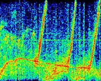 Saturn's Radio Emissions Could Be Mistaken For A Halloween Sound Track