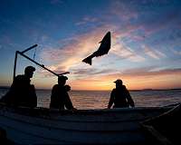 Catch shares slow the 'race to fish'