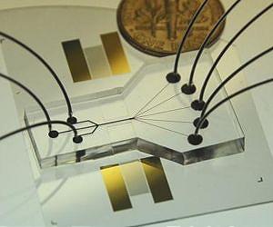 Acoustic cell-sorting chip may lead to cell phone-sized medical labs