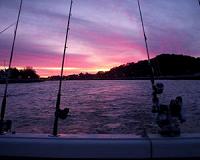 Inland fisheries determined to surface as food powerhouse