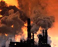 Five die in China chemical plant explosion: state media