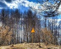 The Lessons of Chernobyl and Fukushima