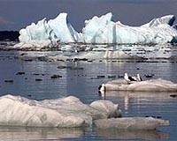 Patagonian Sea atlas published