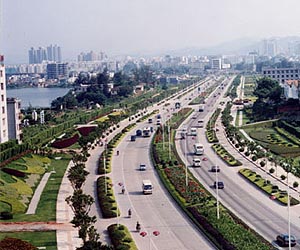 Green plants reduce city street pollution up to eight times more than previously believed