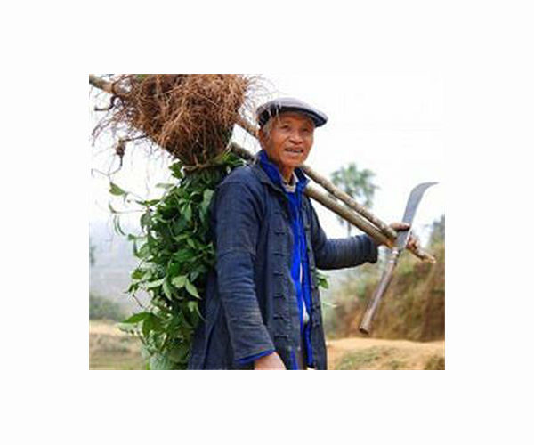 Xi 'concerned' over Covid cases in China's countryside