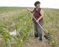 China says massive area of its soil polluted