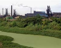 Polluting factories in central China sicken farmers: state press