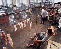 China bans Irish pork imports following cancer scare