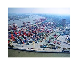 China's August trade surplus falls to 20.03 billion dollars