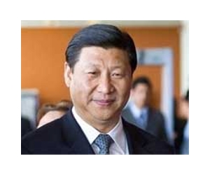 China's Xi hammers home graft warning: media