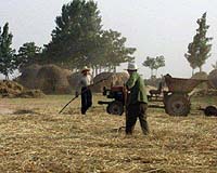 30 years after reform, China farmers once again hope for change
