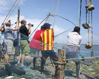 Some South China Sea fish 'close to extinction'