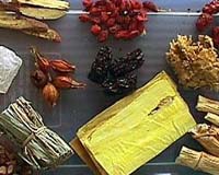 Suggestion To Abolish Traditional Chinese Medicine Lambasted