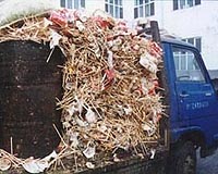 New way proposed to make energy from waste