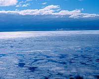 Arctic Ocean Could Be Ice-Free In Summer Within 100 Years, Scientists Say