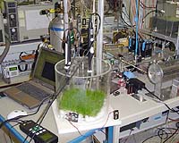 The Forgotten Methane Source