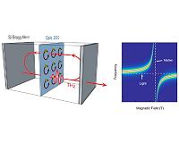 Light and matter merge in quantum coupling