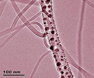 Nanowires For The Electronics And Optoelectronics Of The Future