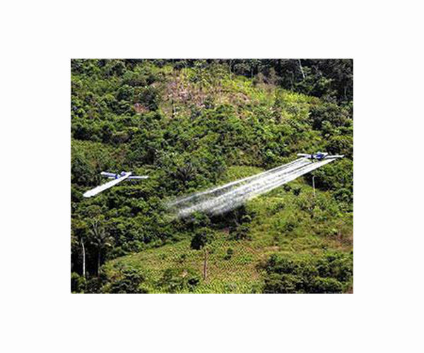 Colombian Amazon: casualty of peace