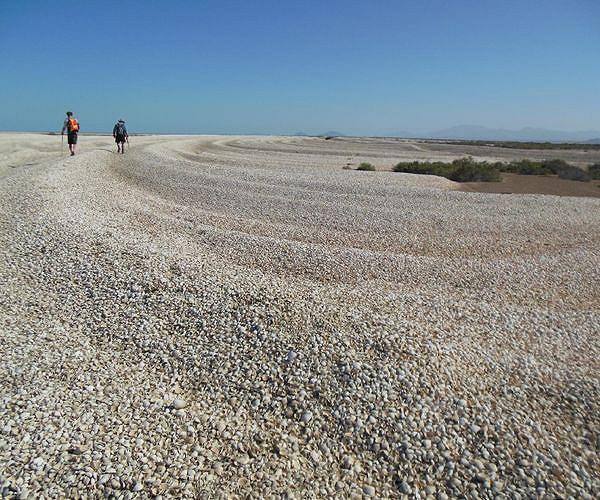 CORRECTED: Spain's Galicia struggles with mass shellfish die-off
