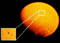 UI Researcher Finds New Evidence For Small Comet Theory