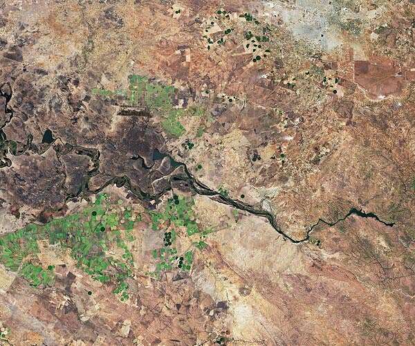 El Nino drought-hit Zambia seeks $900m in 'life saving' aid