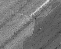 Scientists Create Large-Area Graphene On Copper