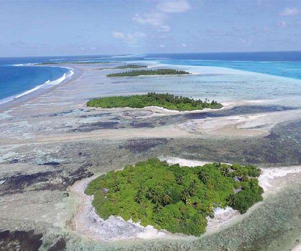 Coral reefs of western Indian Ocean at risk of collapse: study