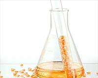 GreenShift To Build Twelve Corn Oil Extraction Facilities
