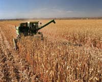 Inbicon Takes Step Into Cellulosic Ethanol Future