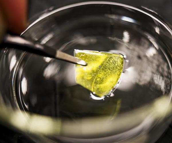 New porous material promising for making renewable energy from water