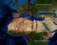 The cuckoo sheds new light on the scientific mystery of bird migration