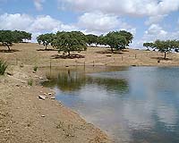 Researchers Examine Role Of Soil Patterns In Dam Restoration