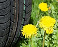 Graphene makes rubber more rubbery