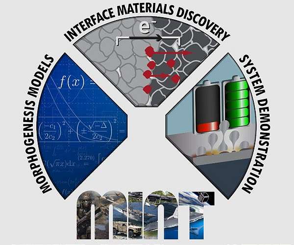 Developing morphogenic electrochemical interfaces