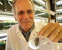 Research shows evolution in real time