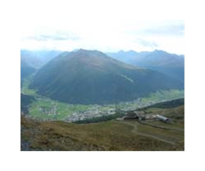 Wild animals on the increase in Switzerland