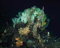 The deep ocean is warming slowly - but dramatic changes are ahead