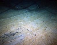 Scientists caution against exploitation of deep ocean
