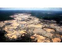 The young Brazilians fighting for the Amazon